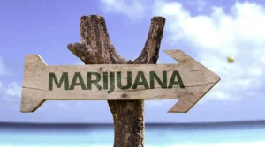 Can Marijuana Cause Erectile Dysfunction